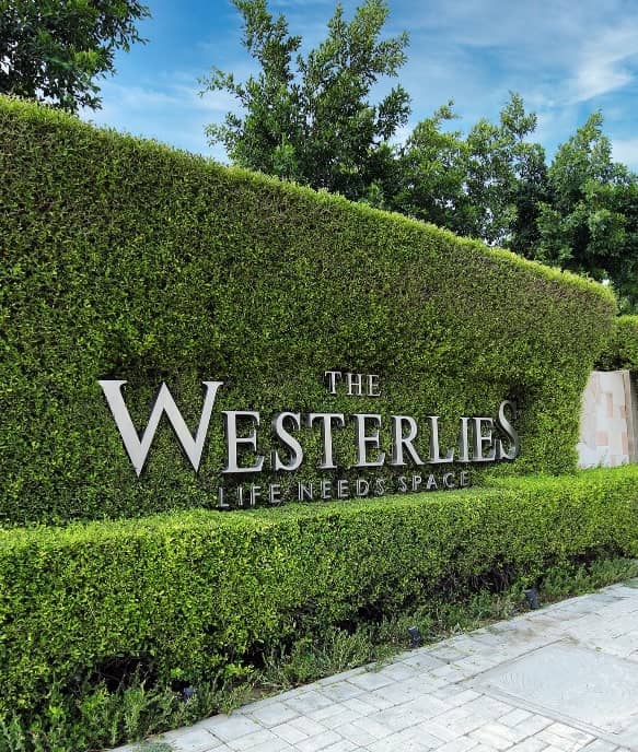 Westerlines Logo Design